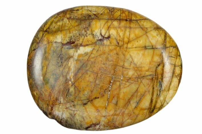 1.9" Polished Cherry Creek Jasper Worry Stones  - Photo 1
